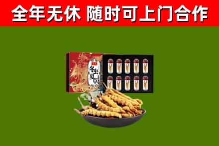 金门县烟酒回收冬虫夏草礼盒.jpg
